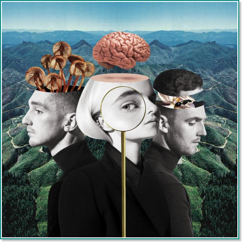 Clean Bandit - What is love? - Limited Deluxe - албум